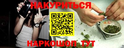 индика Апшеронск