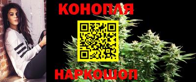 индика Апшеронск