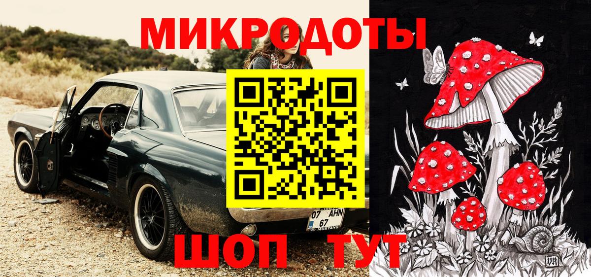 Псилоцибиновые грибы Psilocybine cubensis Великий Новгород